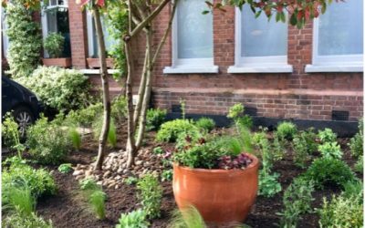 SMALL GARDENS CAN STILL HAVE GREAT POTENTIAL!