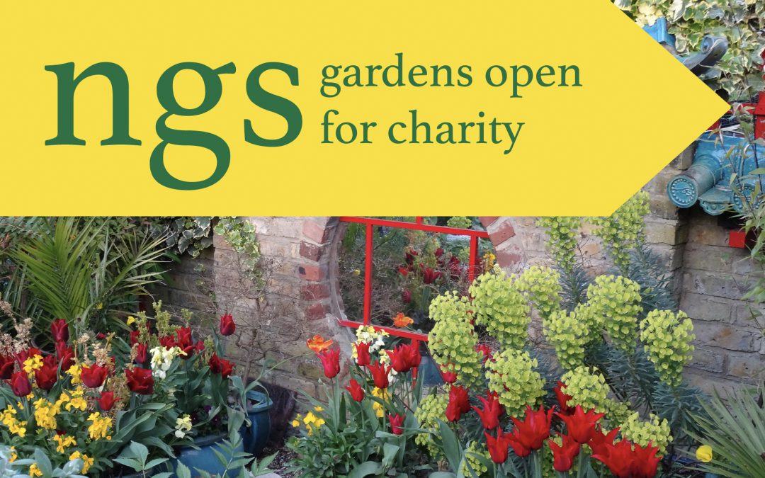 Where did those 30 years go? Up the garden path?