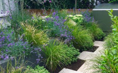 Climate-resilient gardening London